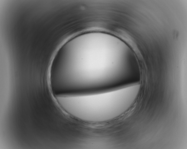 X0000092301199200709140953