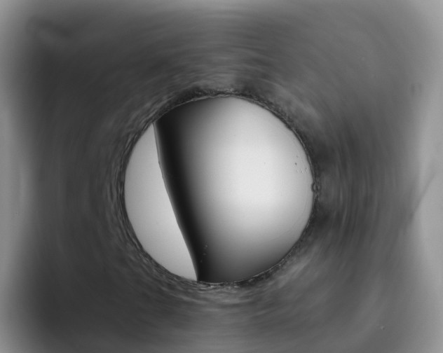X0000092301201200709140952