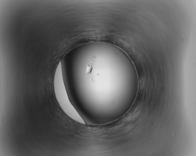 X0000092301202200709140952