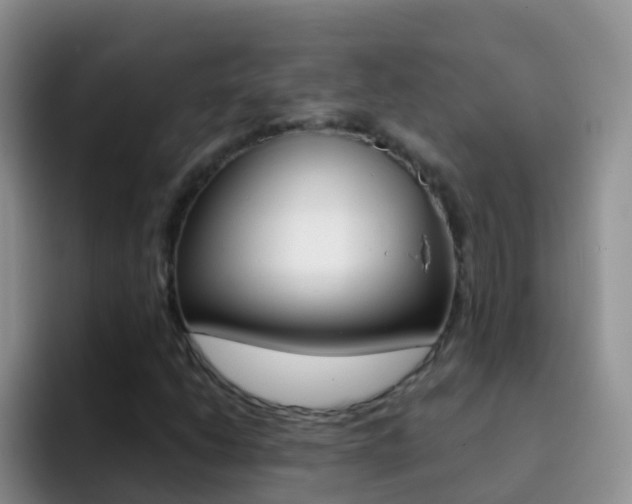 X0000092301206200709140952