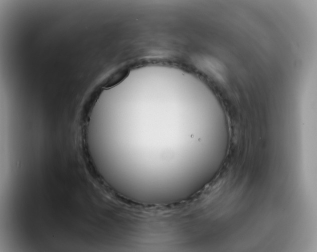 X0000092301208200709140952