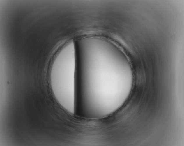 X0000092301213200709140952
