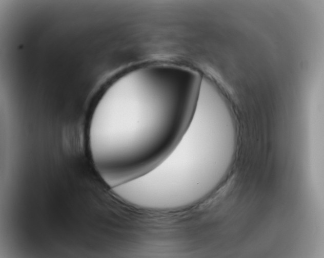 X0000092301214200709140952