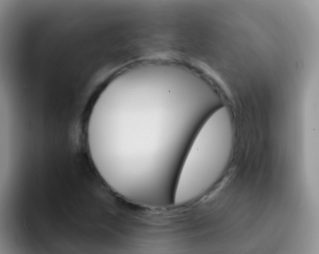 X0000092301215200709140952