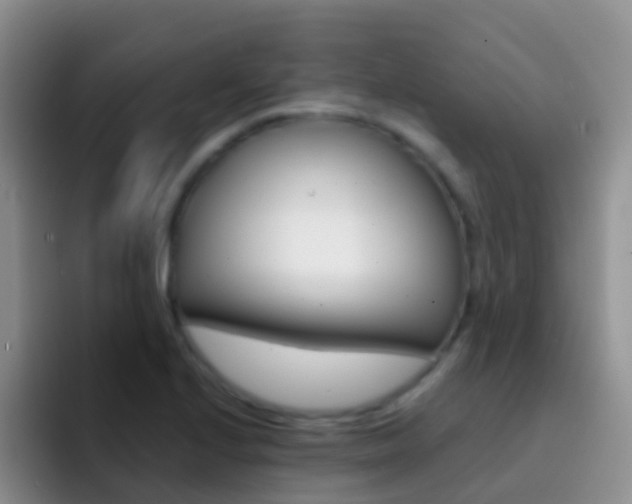 X0000092301224200709140952