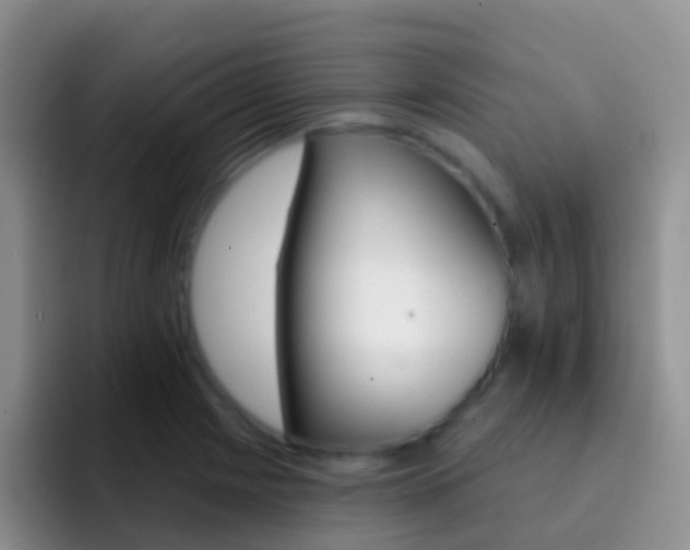 X0000092301225200709140952