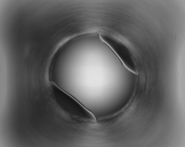 X0000092301230200709140953