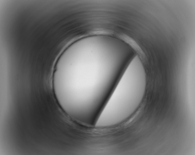 X0000092301236200709140953