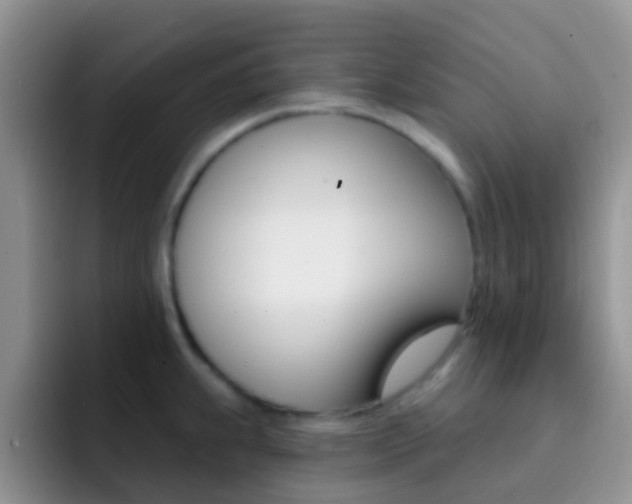 X0000092301239200709140953