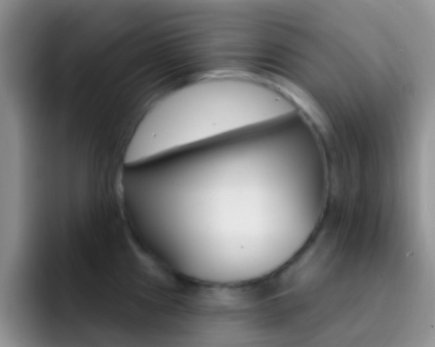 X0000092301241200709140953