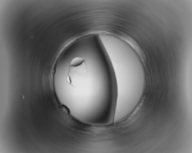 X0000092301242200709140953