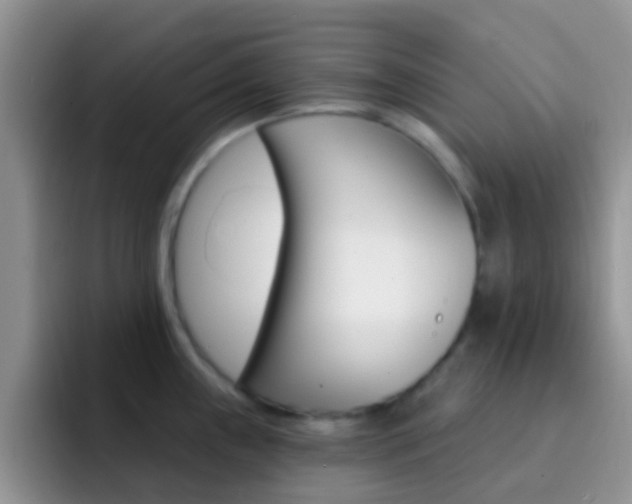 X0000092301243200709140953