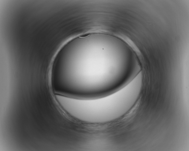 X0000092301246200709140953