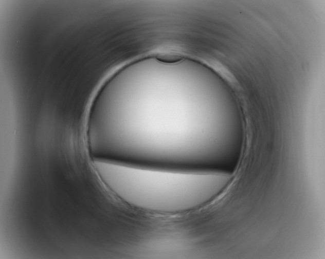 X0000092301248200709140953