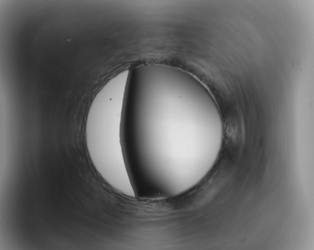 X0000092301252200709140952