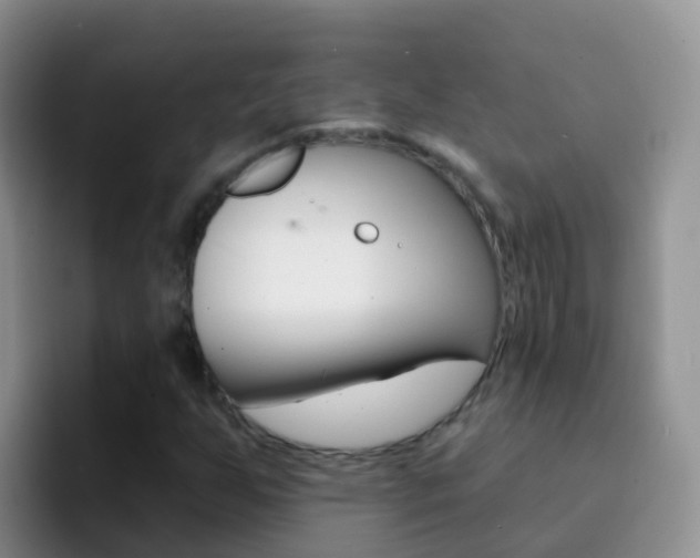 X0000092301255200709140952