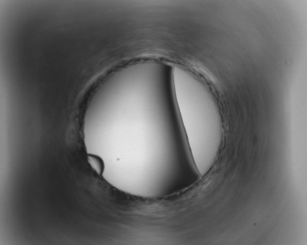 X0000092301256200709140952