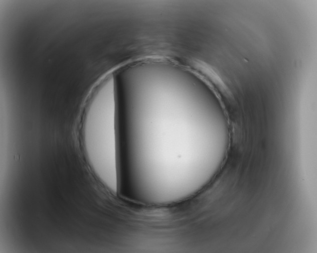 X0000092301260200709140952