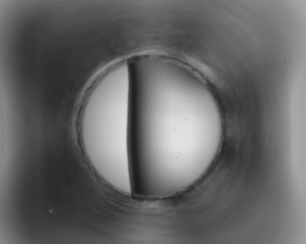 X0000092301264200709140952
