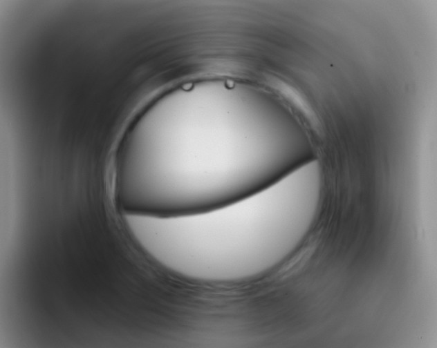 X0000092301275200709140952
