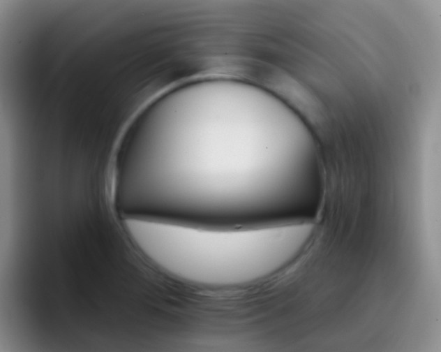 X0000092301276200709140952