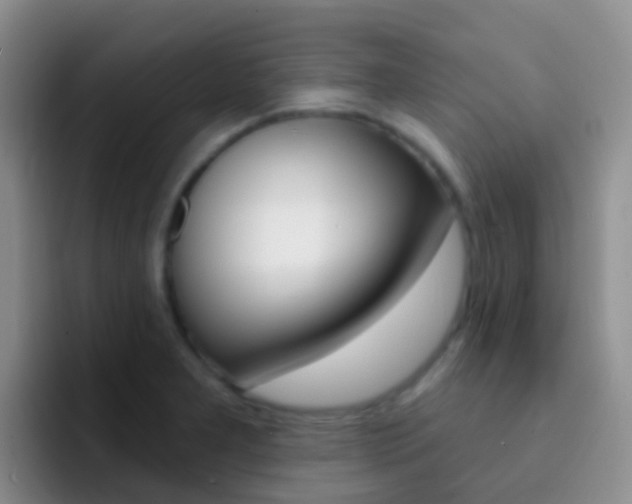 X0000092301277200709140952
