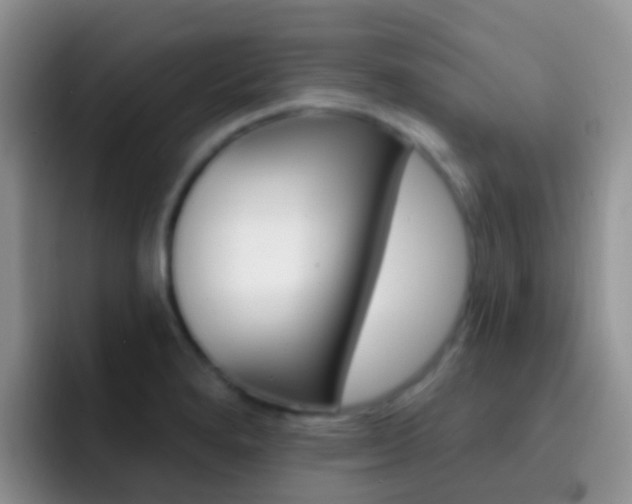 X0000092301280200709140952