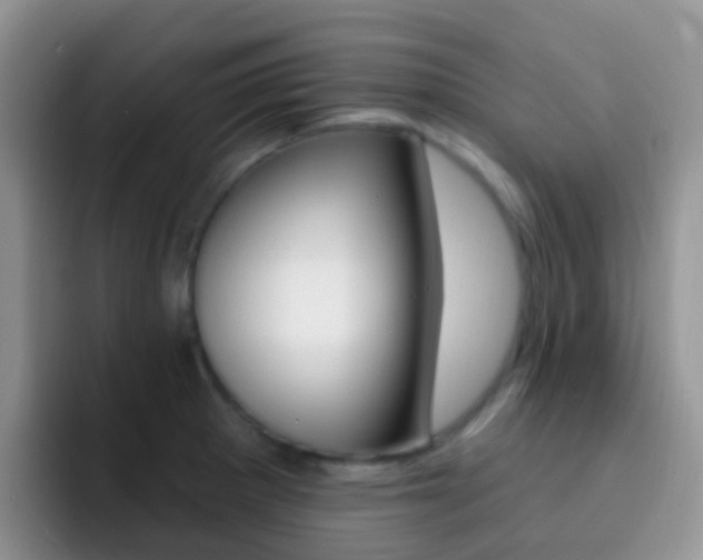 X0000092301281200709140952