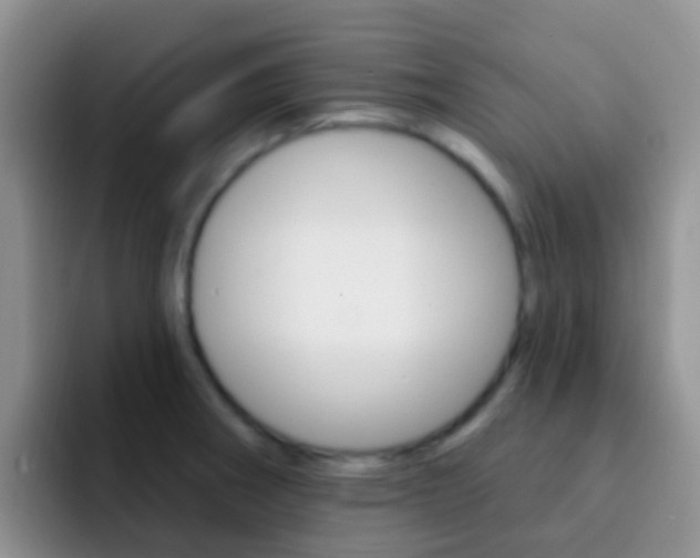 X0000092301282200709140952