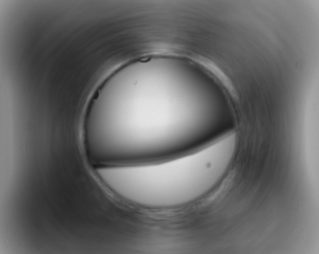 X0000092301285200709140952