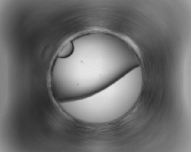 X0000092301287200709140952