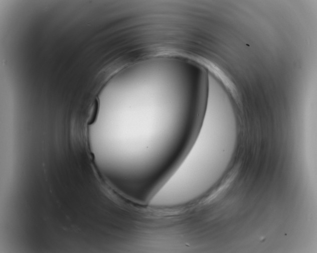 X0000092301289200709140952