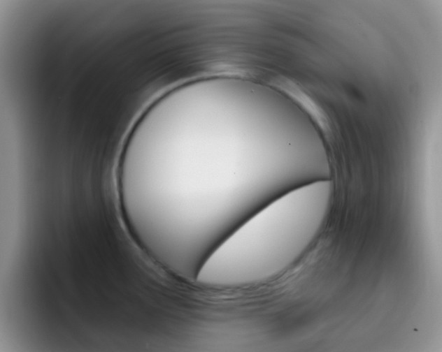 X0000092301291200709140952