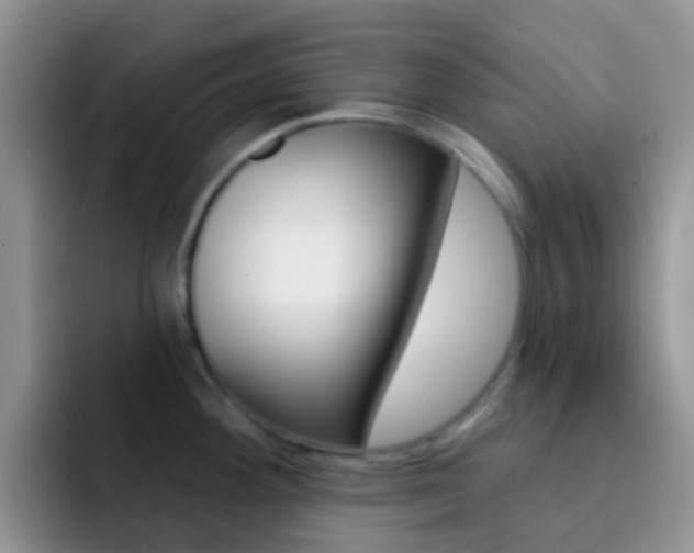 X0000092301292200709140952