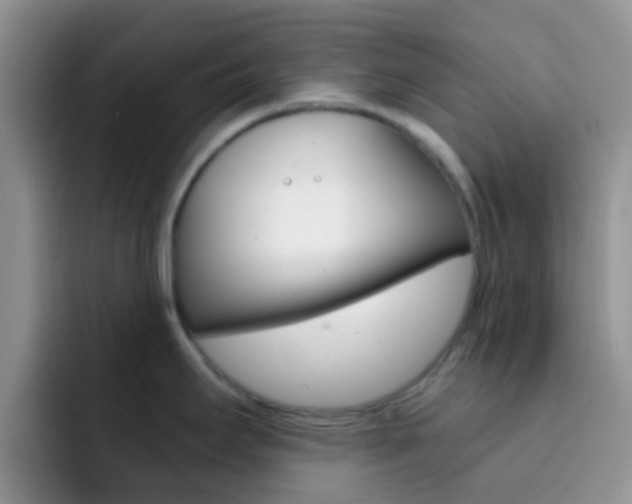 X0000092301295200709140952