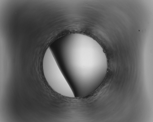 X0000092301297200709140951
