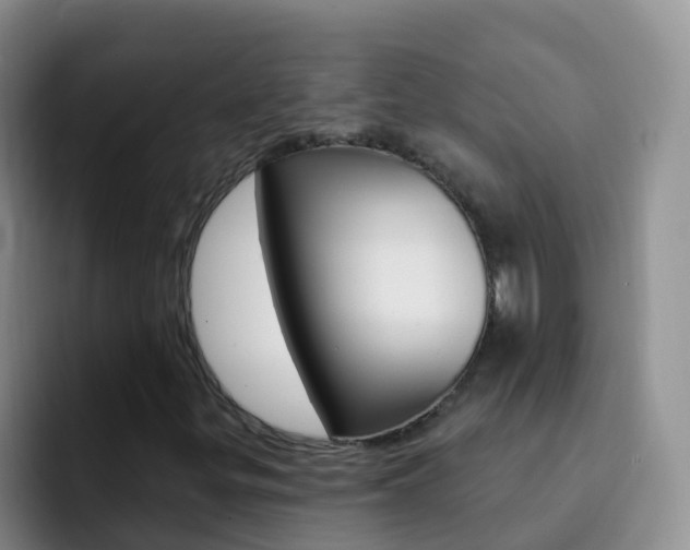 X0000092301299200709140951