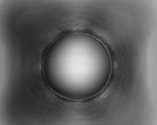 X0000092301300200709140951