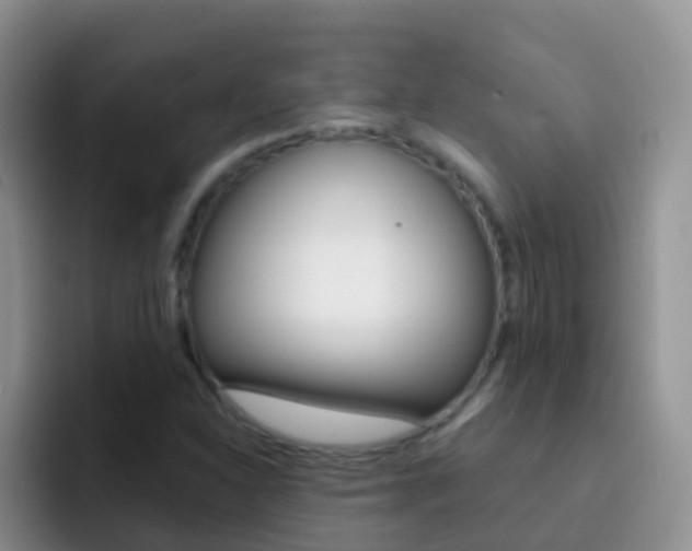 X0000092301310200709140951