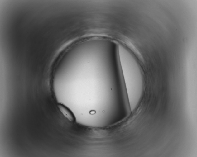 X0000092301312200709140951