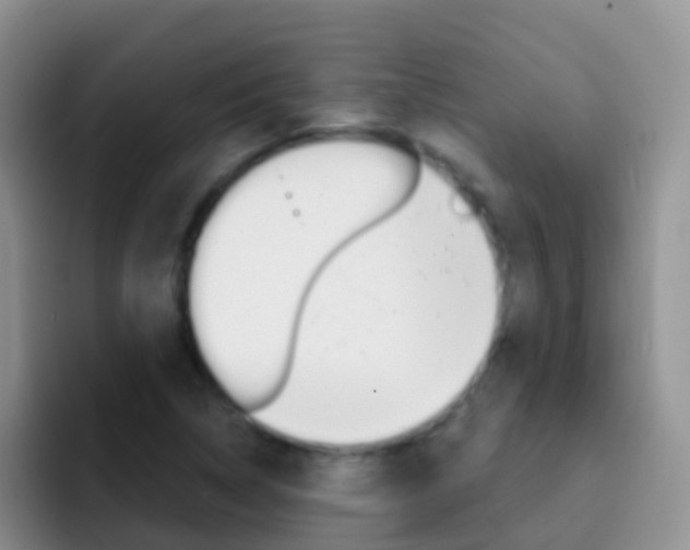 X0000092301314200709140951