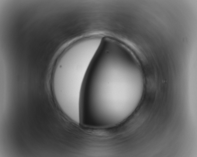 X0000092301319200709140951