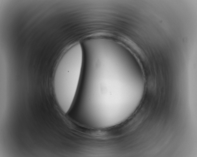 X0000092301321200709140951