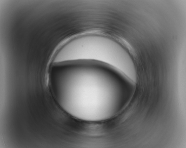 X0000092301324200709140951