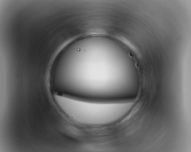 X0000092301325200709140951