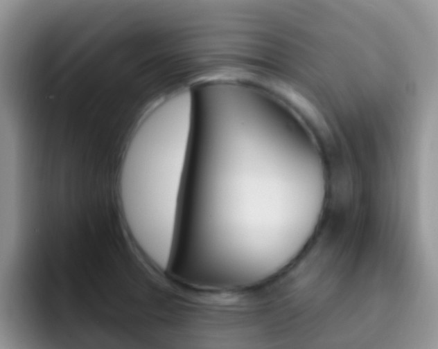 X0000092301329200709140951