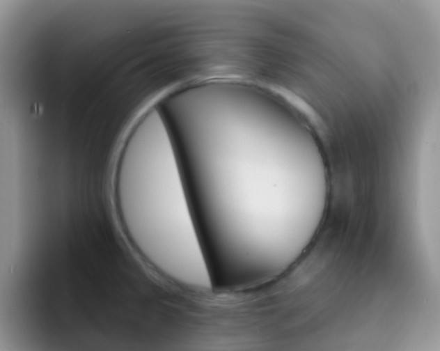 X0000092301333200709140951