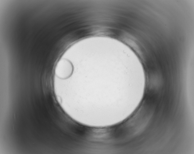 X0000092301338200709140952