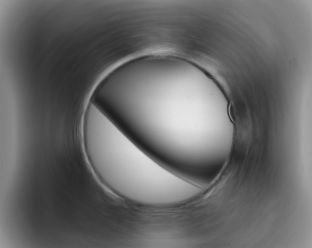 X0000092301343200709140952