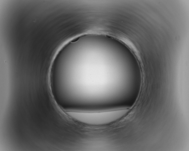 X0000092301344200709140952